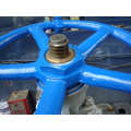 Wcb 600lb Outside Gate Valve Industrial Valve